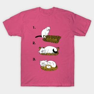 Close Encounters of the Third Kind Cat T-Shirt